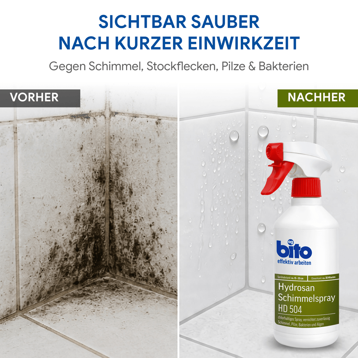 Bito Hydrosan® Profi Schimmelspray – Effektiver Schimmelentferner mit Chlor in – Produktbild von Derendo