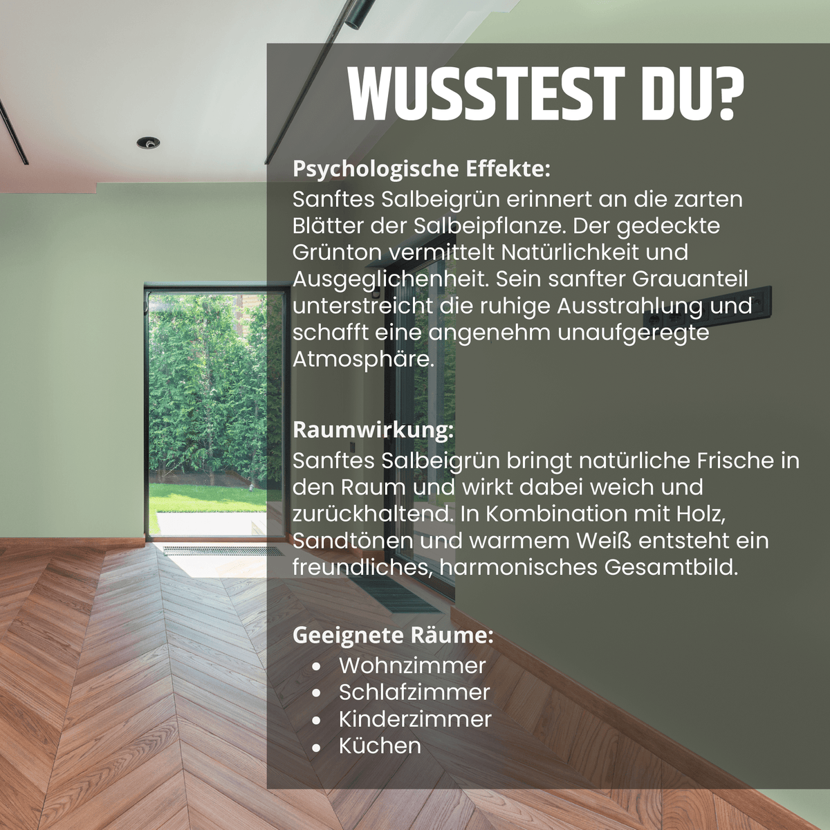 Derendo Exklusive Wandfarbe sanftes Salbei grün in 2.5l – Produktbild von Derendo