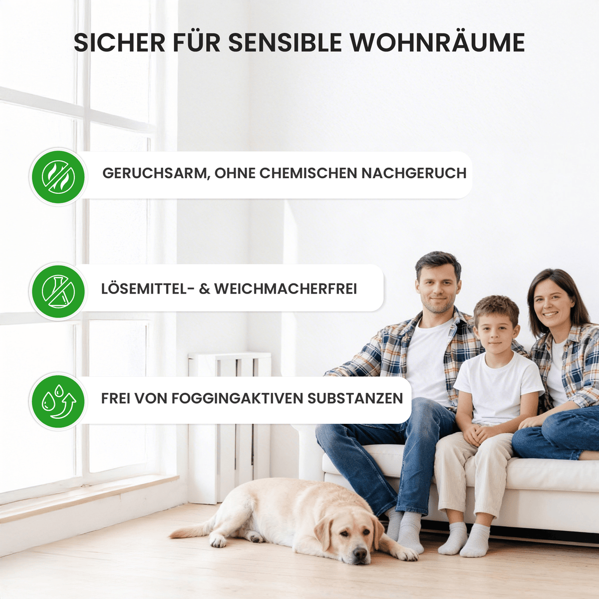 Schimmel-Set mit Anti-Schimmelfarbe, Schimmelentferner & Isolierspray in Schimmelset 10 Liter – Produktbild von Derendo
